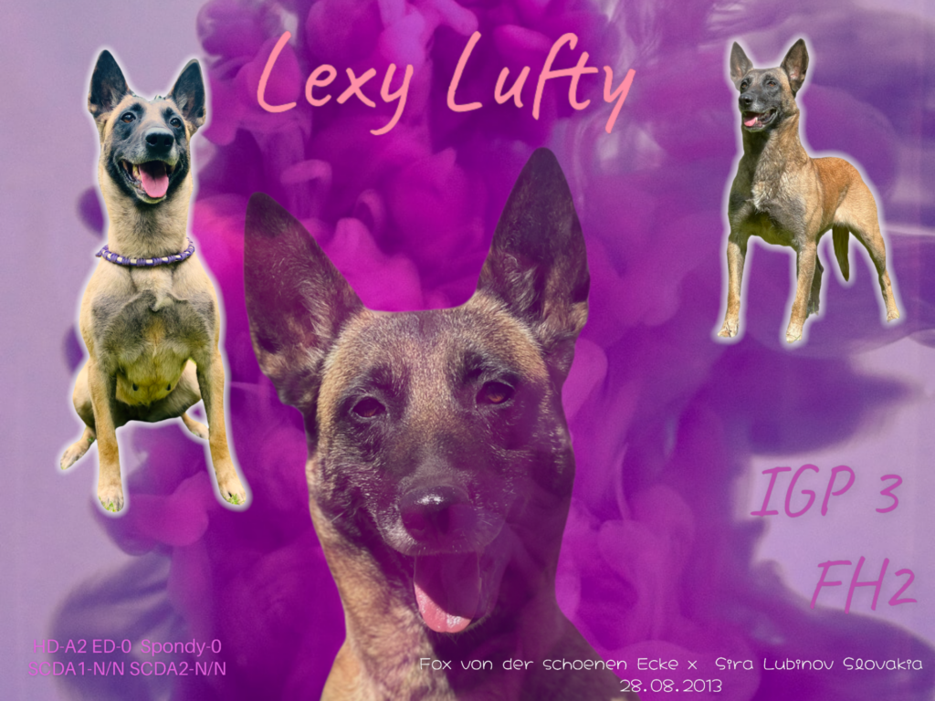 LexyLufty