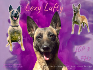 Lexy Lufty